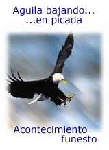 Sueño aguila