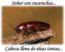Sueño cucaracha