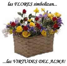 Sueño Flores