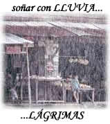 Sueño Lluvia