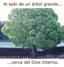 Sueño Arbol