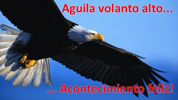 Águila volando alto: Acontecimiento feliz.