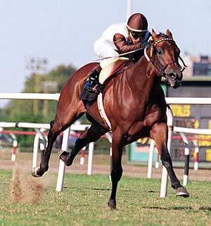 Caballo de carreras