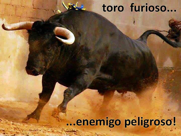 Toro bravo: Enemigo peligroso.