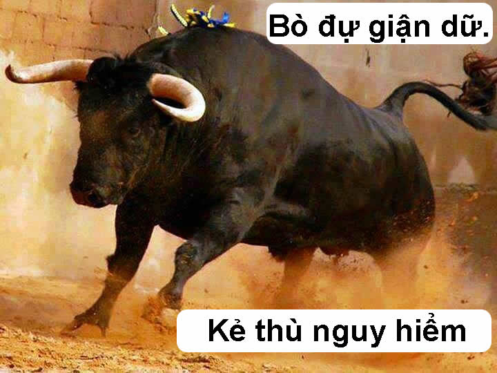 Dũng sĩ bò: Kẻ thù nguy hiểm.